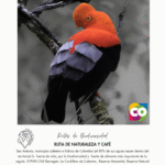RUTA DE NATURALEZA Y CAFE