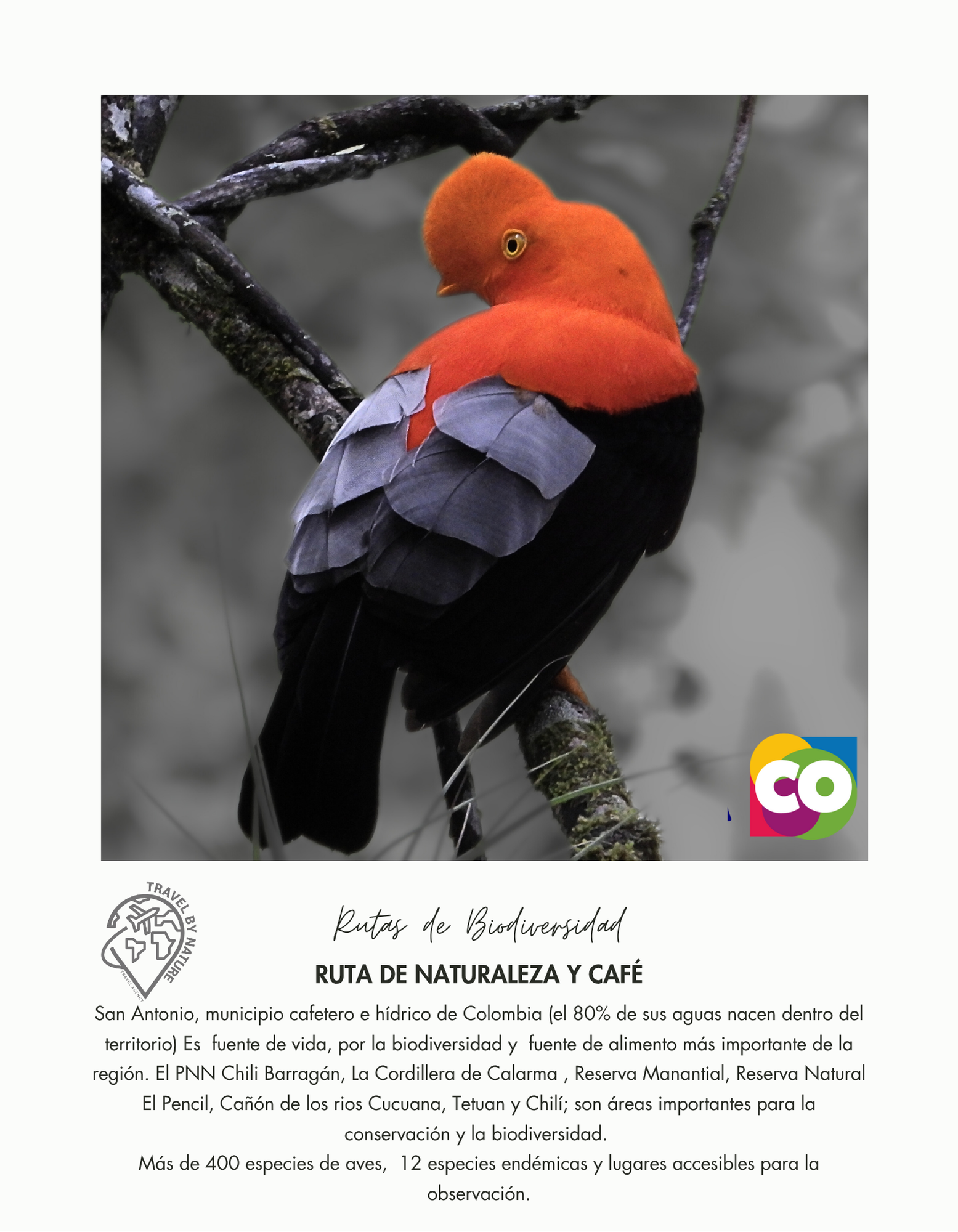 1000583071 RUTA DE NATURALEZA Y CAFE - Image 1