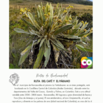 RUTA DEL CAFÉ Y EL PÁRAMO