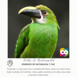 SENDEROS DE NATURALEZA Y PAZ