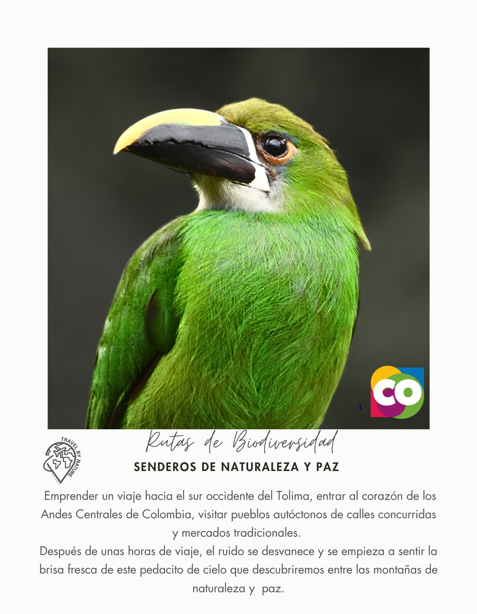 INTRODUCCION RUTAS_20251024_131444_0010 SENDEROS DE NATURALEZA Y PAZ - Image 1