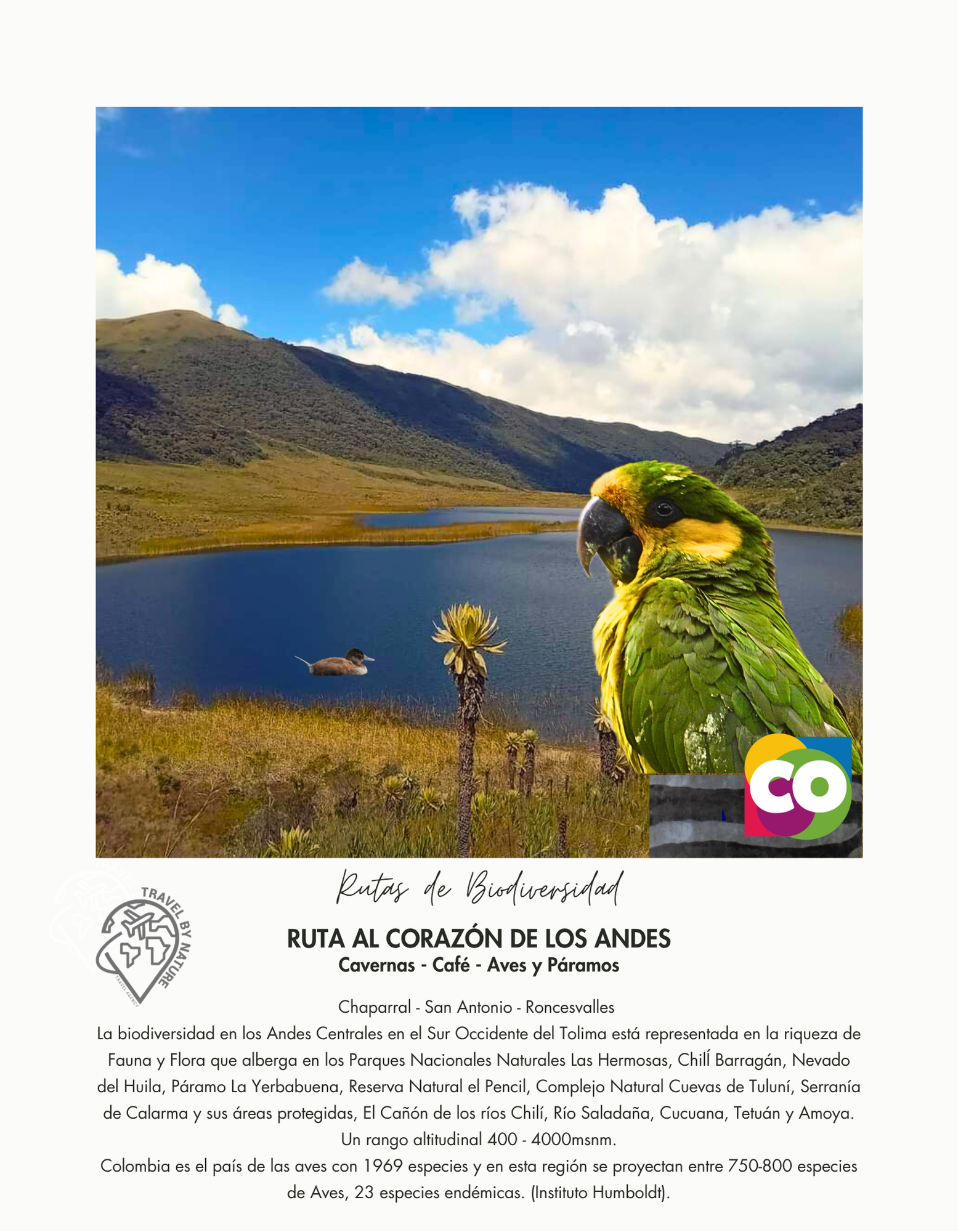 RUTA LAS AVES Y EL CAFE DE LOS ANDES RUTA AL CORAZON DE LOS ANDES - Image 1