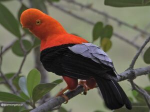 WhatsApp Image 2025-11-21 at 09.12.36 (3)