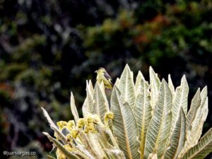 WhatsApp Image 2025-11-21 at 09.12.36