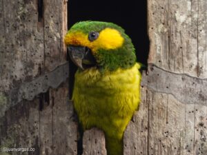 WhatsApp Image 2025-11-21 at 09.12.36 (4)