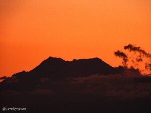 WhatsApp Image 2025-11-21 at 09.12.37 (4)