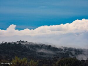 WhatsApp Image 2025-11-21 at 09.12.39 (2)