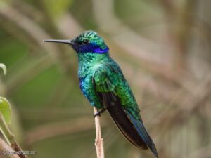 WhatsApp Image 2025-11-21 at 09.12.39