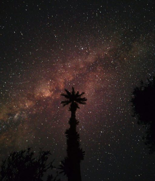 WhatsApp Image 2025-11-21 at 09.12.33 (1)