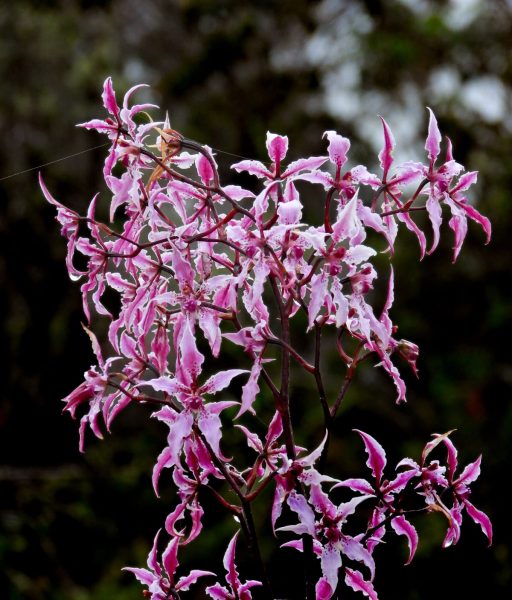 WhatsApp Image 2025-11-21 at 09.12.34 (2)