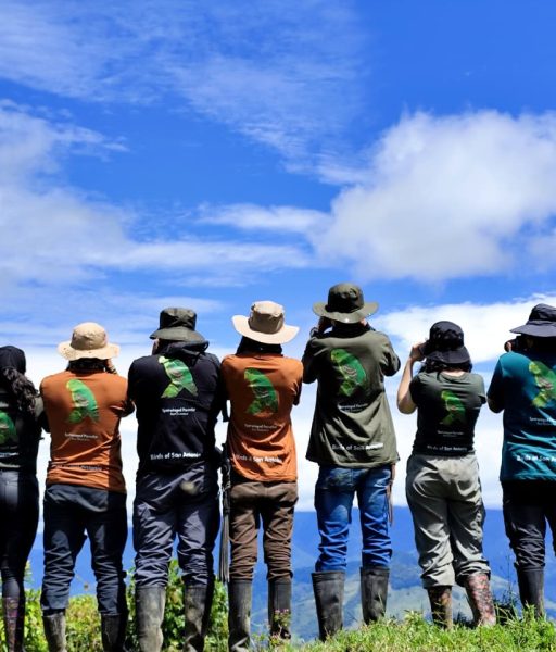 WhatsApp Image 2025-11-21 at 09.12.41 (1)