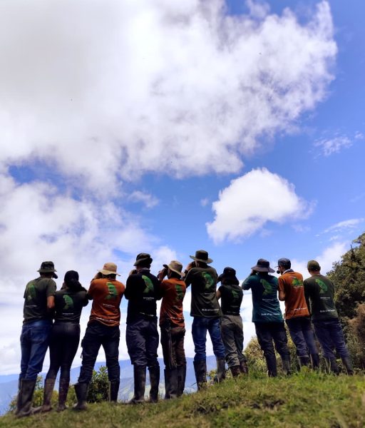 WhatsApp Image 2025-11-21 at 09.12.41 (2)